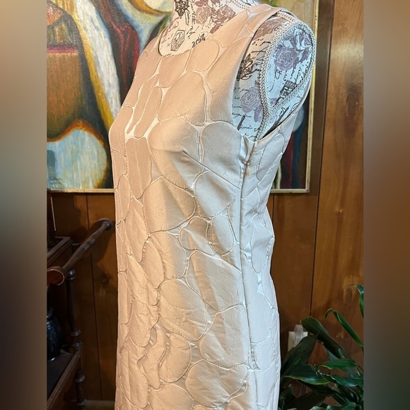 🛍️LUCY PARIS Light tan textured‎ print mini dress, size S. - Picture 4 of 15